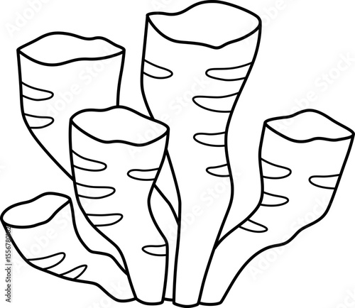 Coral Outline Coloring Page for Kids

