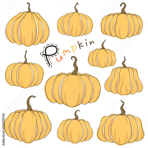 Pumpkin vector collection for design and decoration, can be used for various purposes such as Halloween decoration, stickers, digital print, Halloween party, paper pattern, postcard and more