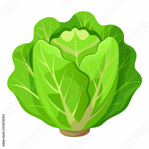 Healthy flat design lettuce vegetable for meal prep, cooking, and eco-friendly diet sticker packs – cartoon vector illustration of fresh leafy produce