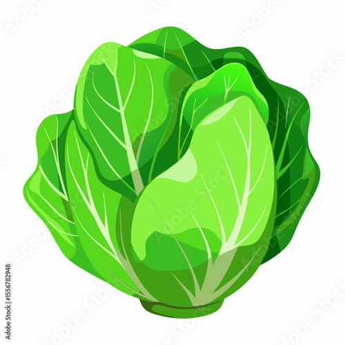 Flat vector of lettuce for vegetarian meals, eco food sticker packs, and culinary art assets – bright cartoon design symbolizing healthy produce for lifestyle visuals
