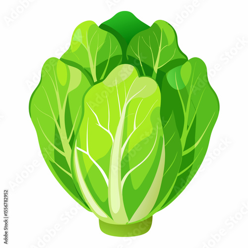 Cartoon lettuce flat vector – fresh green leafy vegetable icon for healthy meal prep, eco cooking themes, and farmer’s market sticker pack illustration assets