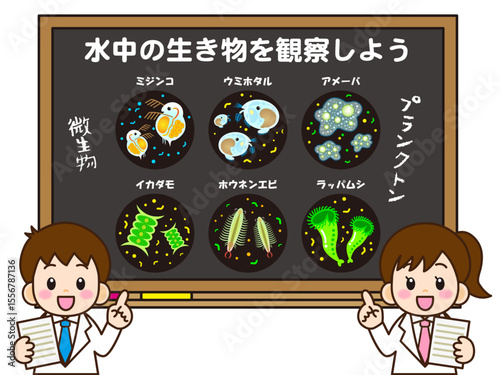 黒板で微生物とプランクトンの授業をする小学生のイラスト素材