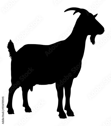 Vector Silhouette Of A Goat.