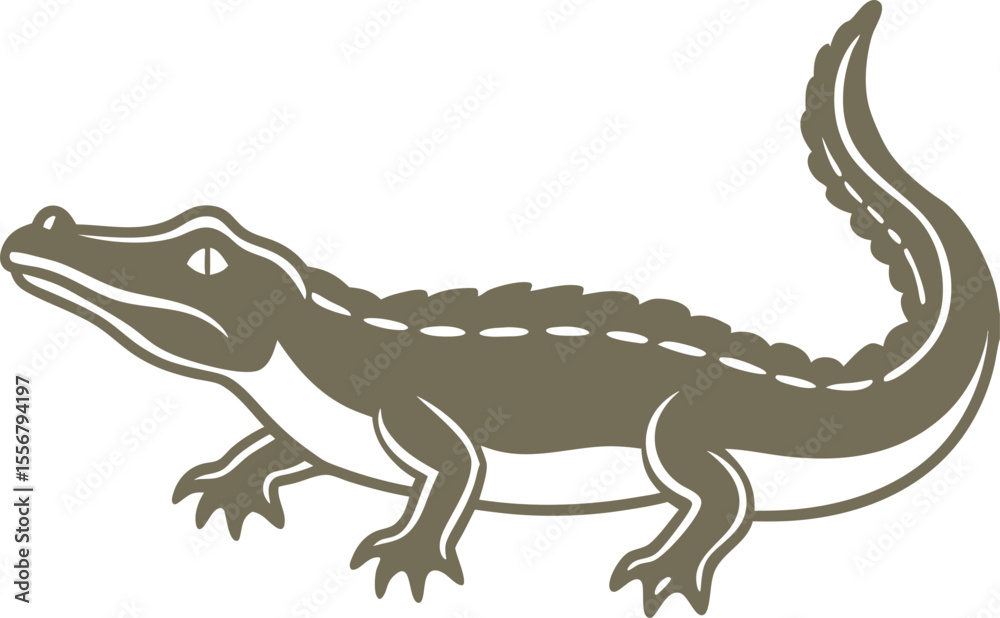 Fototapeta premium lizard on white background
