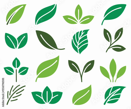 Two leaves icon. Leaf symbol. Nature organic isolated illustration. Vegetarian or vegan label. Green eco logo.