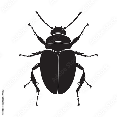 Bombardier beetle silhouette vector flat illustration design. 
