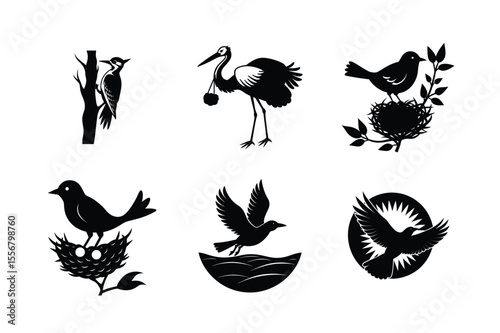 Assorted avian silhouettes for nature inspired decor Silhouette Vector illustration
