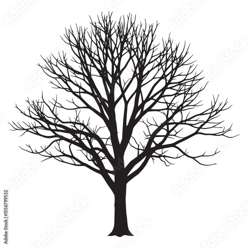 Silhouette of a barren tree against a white background for vector design and decoration