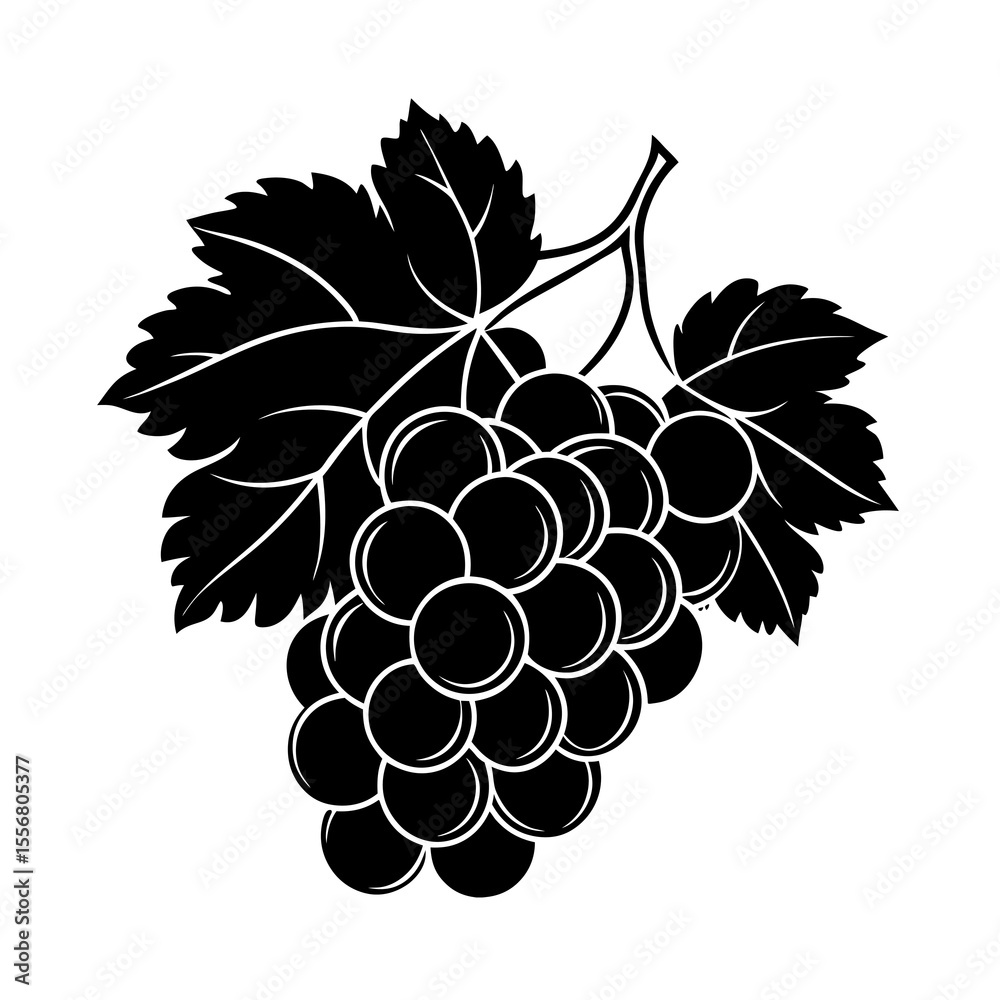 Fototapeta premium grapes vector illustration Silhouette with a transparent background