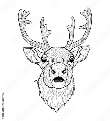 Awestruck Reindeer Face Line Art