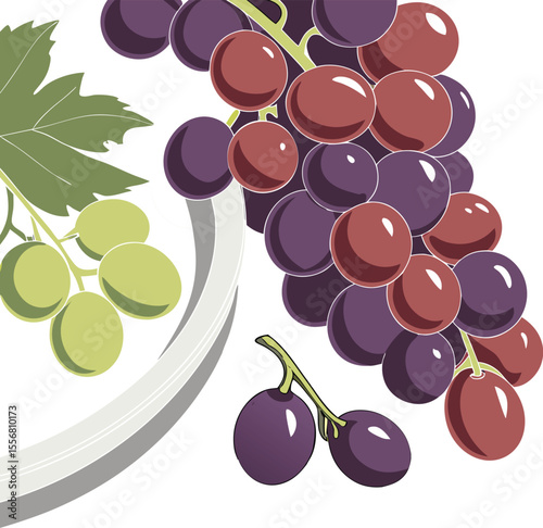 closeup-still-life-of-colorful-grapes-on-marble-su.eps