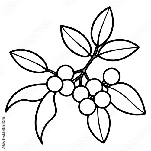 Festive Mistletoe Line Art Design