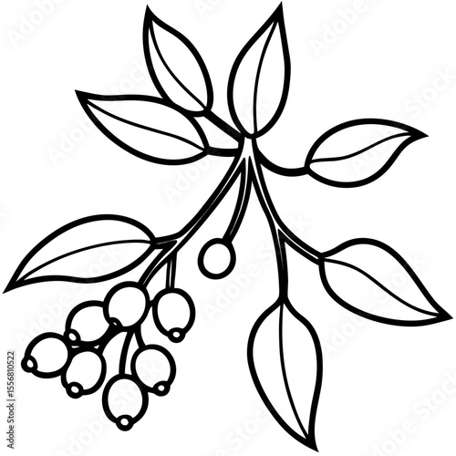 Festive Mistletoe Line Art Design