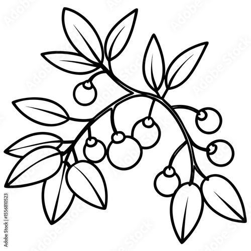 Festive Mistletoe Line Art Design