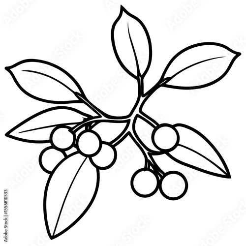 Festive Mistletoe Line Art Design