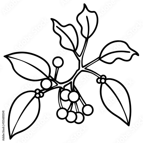 Festive Mistletoe Line Art Design