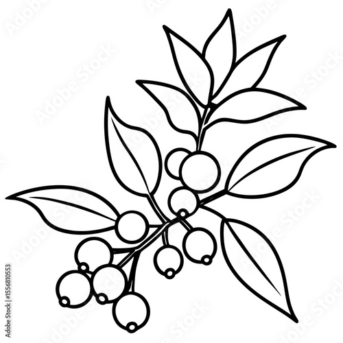 Festive Mistletoe Line Art Design