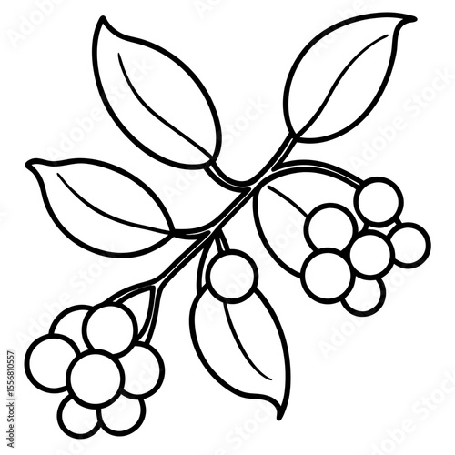 Festive Mistletoe Line Art Design
