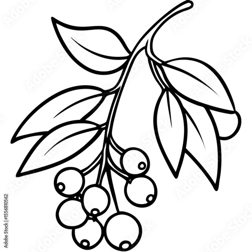Festive Mistletoe Line Art Design