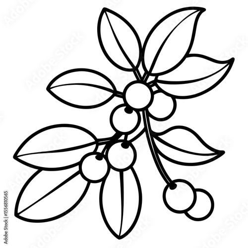 Festive Mistletoe Line Art Design