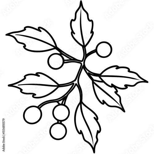 Festive Mistletoe Line Art Design