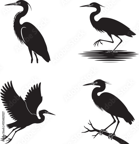 Heron bird silhouette set vector illustration isolated On Transparent Background 