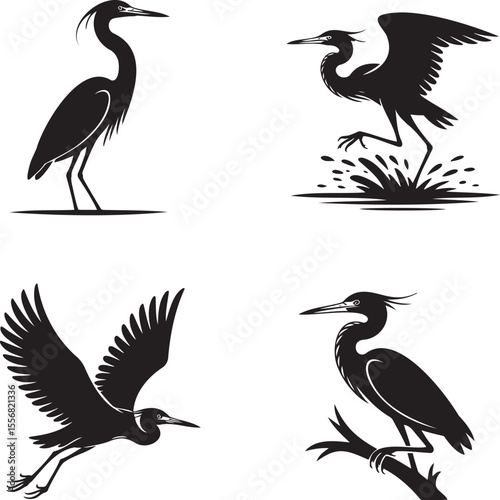 Heron bird silhouette set vector illustration isolated On Transparent Background 