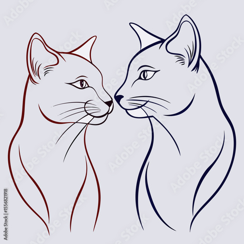 cat and dog