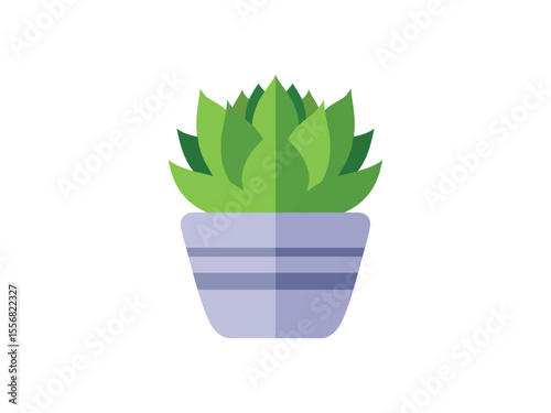 Flat Style Detailed Succulent Plant Isolated on White Background Illustration