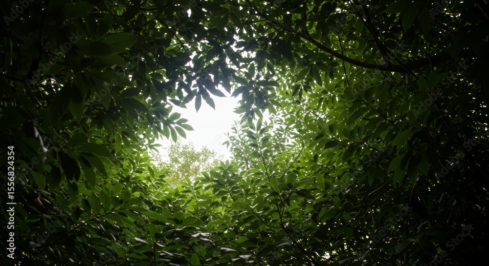 Fototapeta premium light through leaves with an unusual yet beautiful camera angle, natural lighting, clean background, no text, styled for poster or website use, trending aesthetic