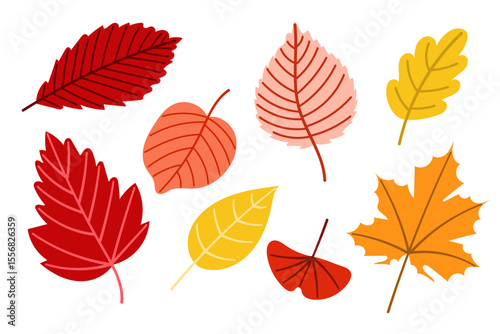 Bright autumn leaves vector set illustration