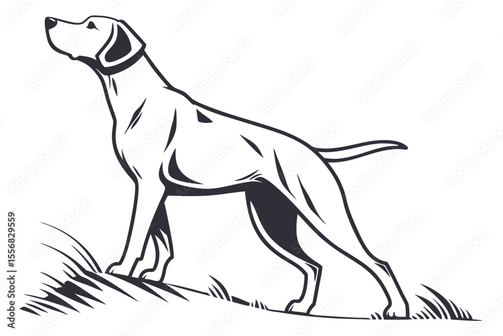 Fototapeta premium Dog illustration labrador drawing vector 