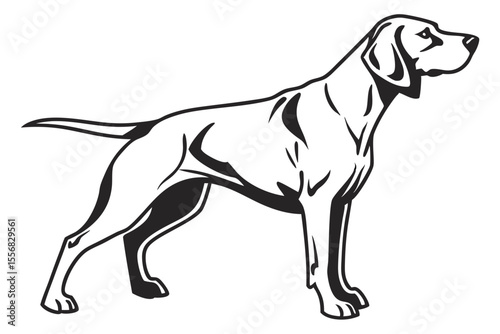 Canine Silhouette – Vector Dog on White