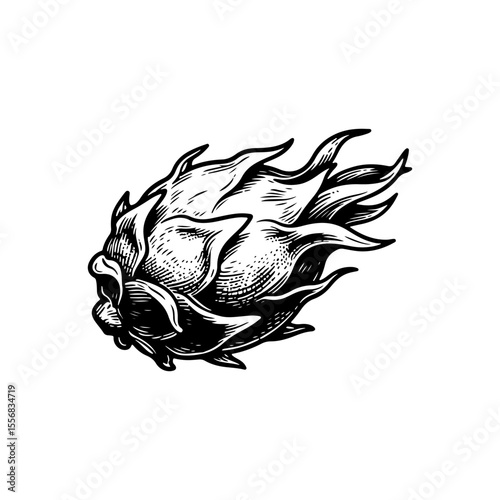 Hand-drawn Dragon Fruit Illustration