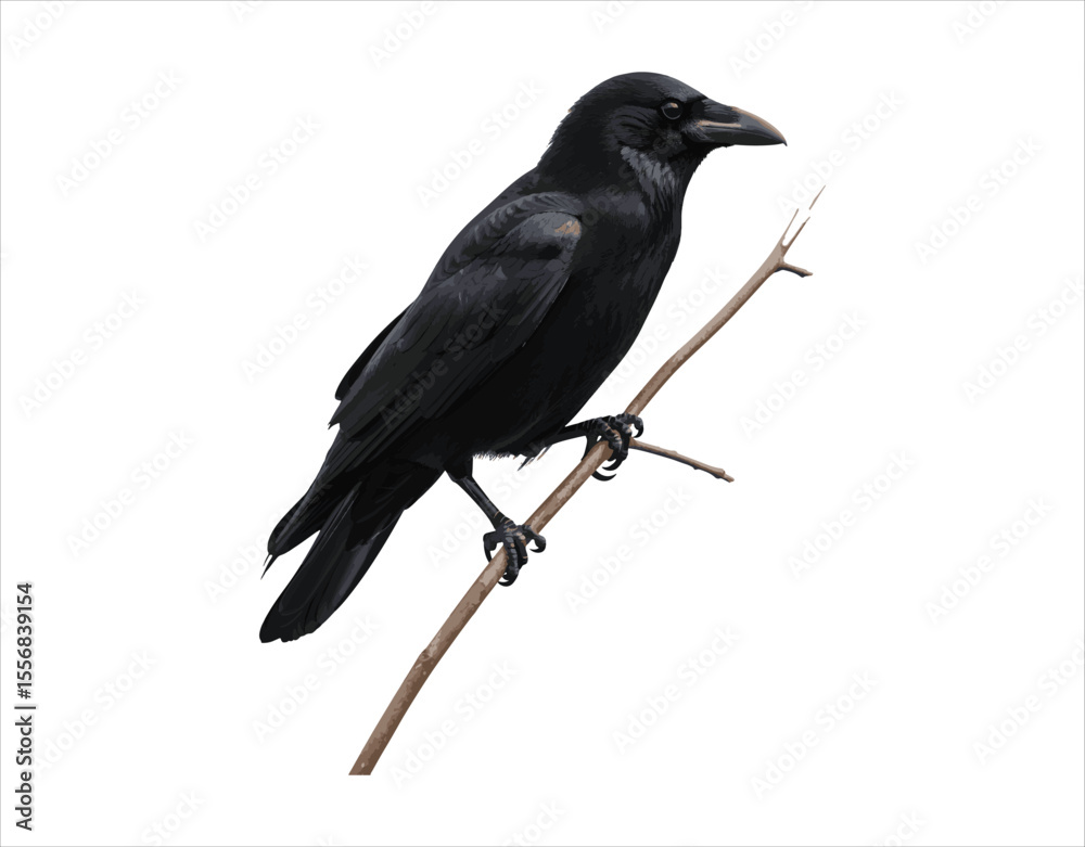 Obraz premium A crow balancing on a branch 