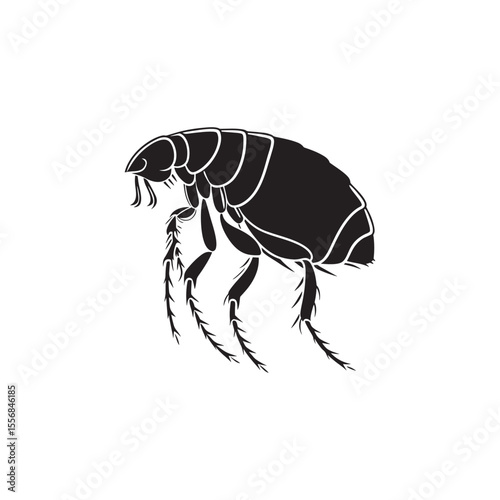 Flea silhouette vector flat illustration design.simple vector icon