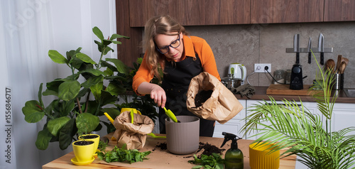 woman in apron replants aromatic herbs in cozy kitchen, tending to the vibrant greenery in her beautiful apartment.