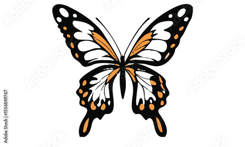 butterfly insect nature wings fly