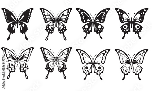 butterfly insect nature wings fly