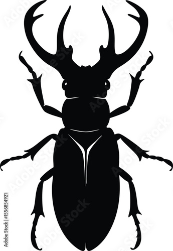 Vector art of stag beetle insect isolated on white background in vector format