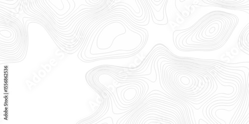 The pattern discovery vector topo map creative discovery White wave grid stripe line map topography. vector geographic contour mounted map background.	