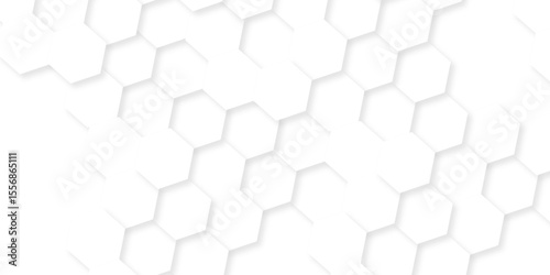 Abstract surface mosaic and tiles minimal tech bee website science element grid overlay white hexagon futuristic technology geometric texture background.	