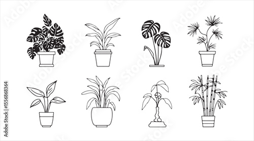 linear icon set of domesticated plants. It features houseplants such as pothos and dracaena, along with monstera and bamboo. These thin line contour symbols can be customized.