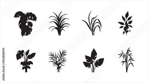  linear icons of domesticated plants. You'll find houseplants like pothos and dracaena, plus monstera and bamboo. They come as customizable thin line contour symbols.