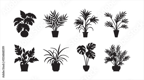 A set of pixel-perfect linear icons featuring domesticated plants. Houseplants include pothos and dracaena, as well as monstera and bamboo. These are customizable thin line contour symbols.