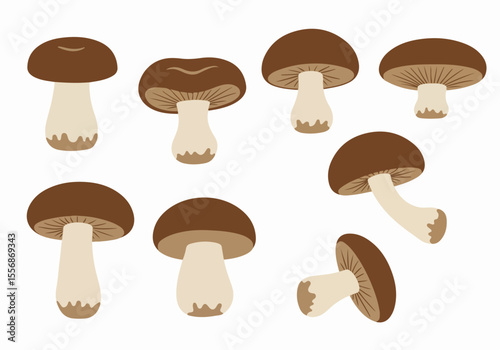 Set of various stylized mushroom illustrations isolated on a white background, suitable for food, nature, or design projects.