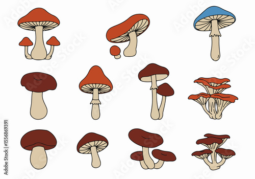 Hand Drawn Collection of Colorful Mushroom Illustrations on White Background