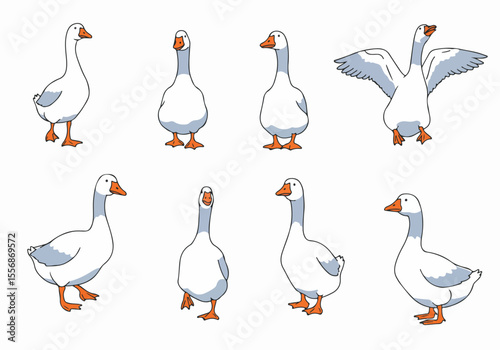 Set of cartoon geese illustrations in different poses - standing, walking, and flapping wings on a white background.