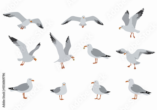 Set of cartoon seagulls in various flying, landing, and standing poses with one holding a lucky coin, isolated vector illustration