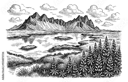 Black and white engraving of mountain range, lake, meadow, and lupine field under cloudy sky